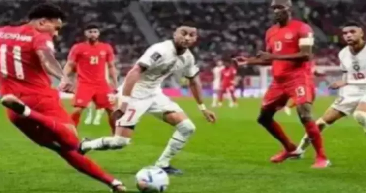 上海海港直播_上海海港无插件体育直播入口_上海海港体育直播免费高清-24直播